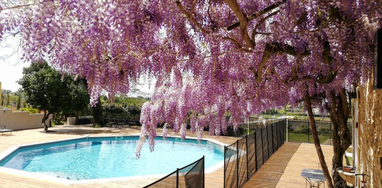 Chateau Montplaisir Charming B&B In Provence Valréas Esterno foto