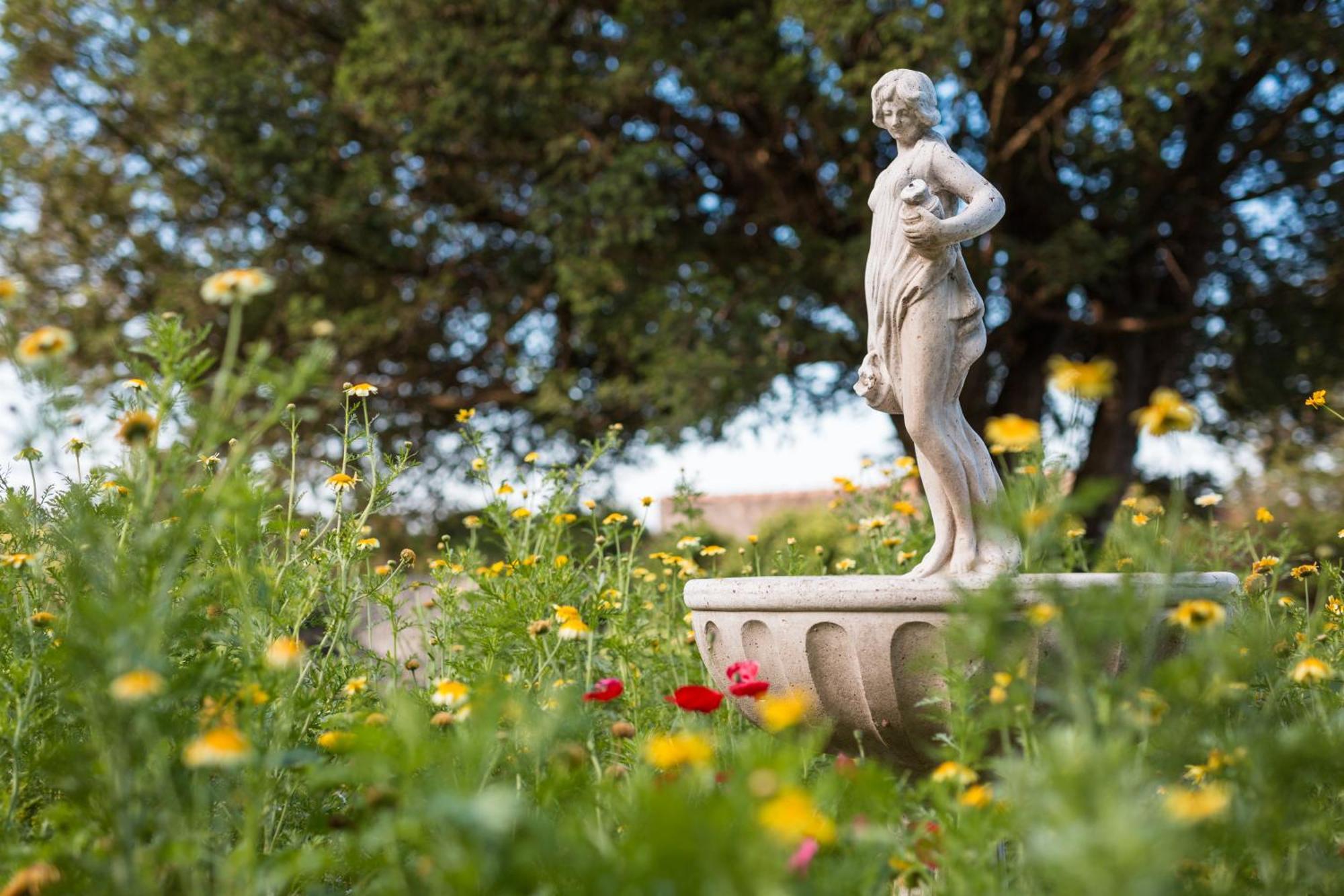 Chateau Montplaisir Charming B&B In Provence Valréas Esterno foto