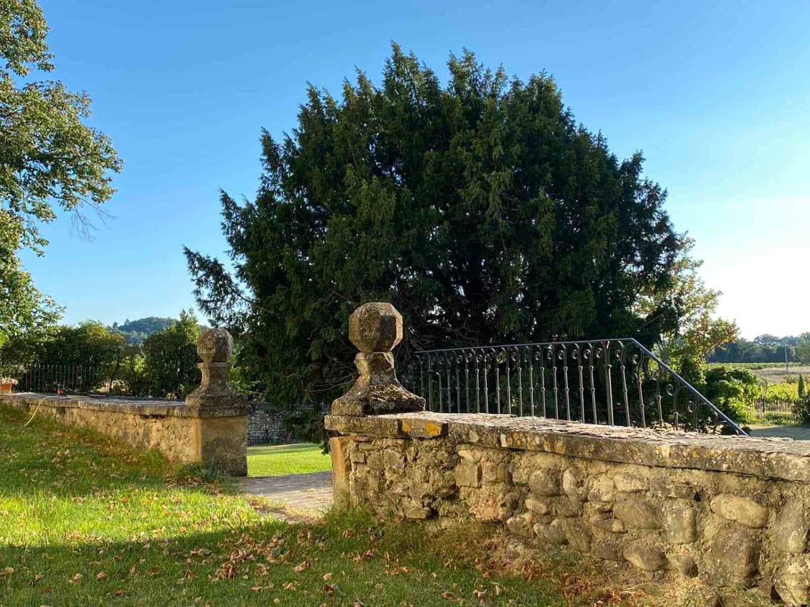 Chateau Montplaisir Charming B&B In Provence Valréas Esterno foto
